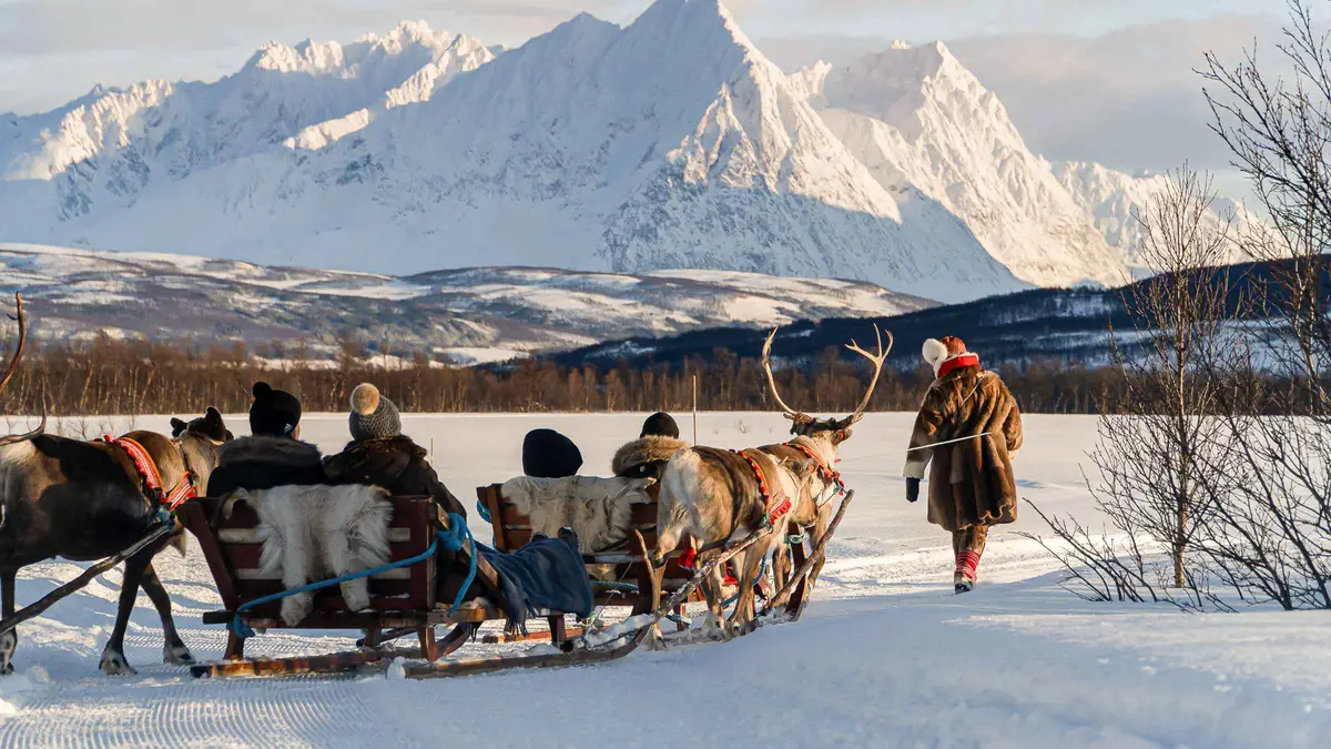 A reindeer caravan crossing snow below mountains on a reindeer sledding tour near Tromsø