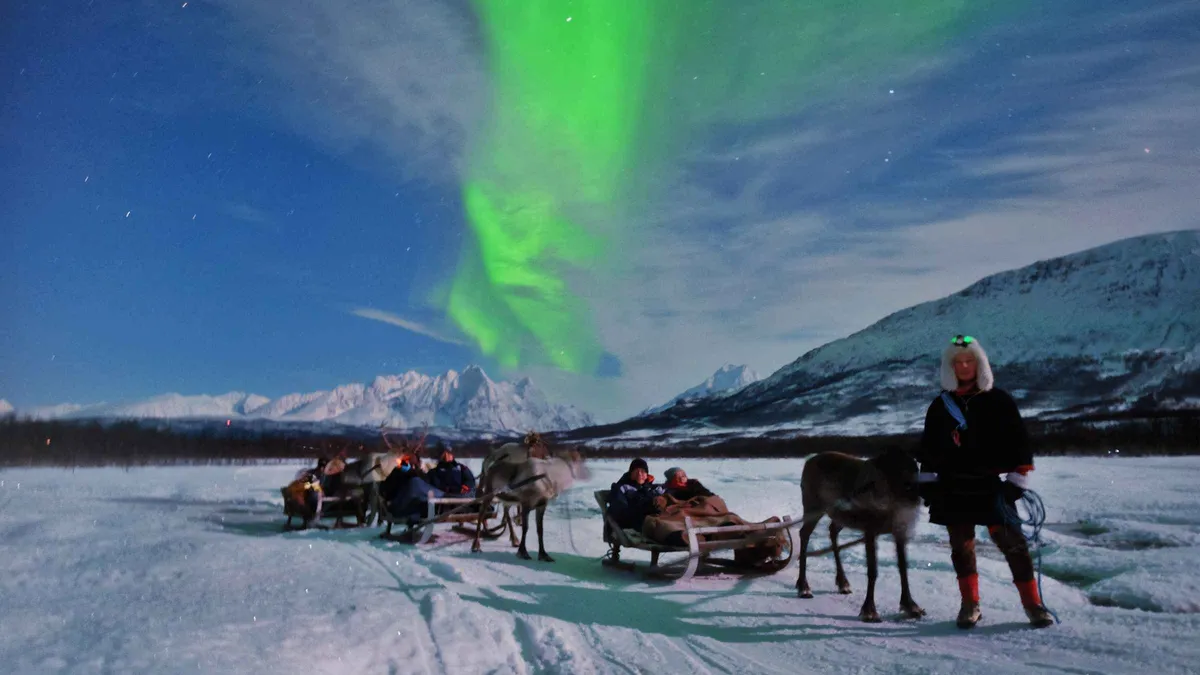 Reindeer and sleds at an evening camp on a reindeer sledding tour with northern lights from Tromsø